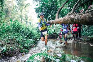 BIB: 
                            <button type="button" onclick="openModal(25453271)" class="btn btn-primary btn-sm float-right btn-popup" data-toggle="modal" data-target=".modal-high-quality">
                        <i class="fas fa-shopping-cart"></i> Add to Cart
                    </button>
                                            <button type="button" onclick="isThisMe(25453271, true)" class="btn btn-success btn-sm float-right btn-popup btn-isme hidden" data-toggle="tooltip" data-placement="bottom" title="นี่คือรูปของคุณใช่ไหม คลิกที่นี่เพื่อเอาเข้าอัลบั้ม">
                        <i class="fas fa-plus"></i> Add to album
                    </button>
                    <button type="button" onclick="isThisMe(25453271, false)" class="btn btn-warning btn-sm float-right btn-popup btn-isnotme hidden">
                        <i class="fas fa-ban"></i> Remove from album
                    </button>